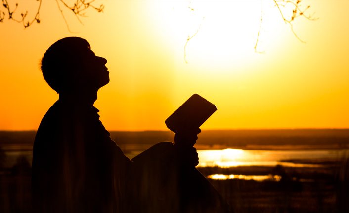 Ora mi fermo. Now I’ll stop Ora mi fermo. Now I’ll stop