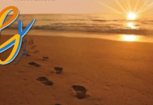 il calendario. Stasera in preghiera per Enrico – Sito Ufficiale dell’ArciDiocesi di Lecce – il giornale della Arcidiocesi di Lecce il calendario. Stasera in preghiera per Enrico – Sito Ufficiale dell'ArciDiocesi di Lecce