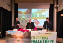 âFili dâerba nelle crepeâ: il convegno Caritas âFili dâerba nelle crepeâ: il convegno Caritas