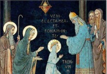 Diocesi di San Severo » parola alla Parola – VENERDÌ 21/11/2025 Diocesi di San Severo » parola alla Parola – VENERDÌ 21/11/2025