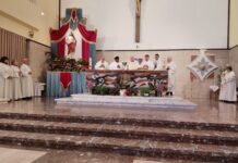 Solennità di Cristo Re: celebrazione del Vescovo Solennità di Cristo Re: celebrazione del Vescovo