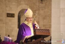 Omelia di Mons. Sabino Iannuzzi durante la Santa Messa in occasione del pellegrinaggio a Bari di alcune parrocchie della Diocesi – Diocesi di Castellaneta Omelia di Mons. Sabino Iannuzzi durante la Santa Messa in occasione del pellegrinaggio a Bari di alcune parrocchie della Diocesi – Diocesi di Castellaneta