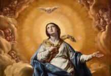 Diocesi di San Severo » parola alla Parola – LUNEDÌ 08/12/2025 Diocesi di San Severo » parola alla Parola – LUNEDÌ 08/12/2025