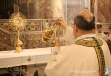 Santa Messa di ringraziamento per l’anno 2025 Santa Messa di ringraziamento per l’anno 2025