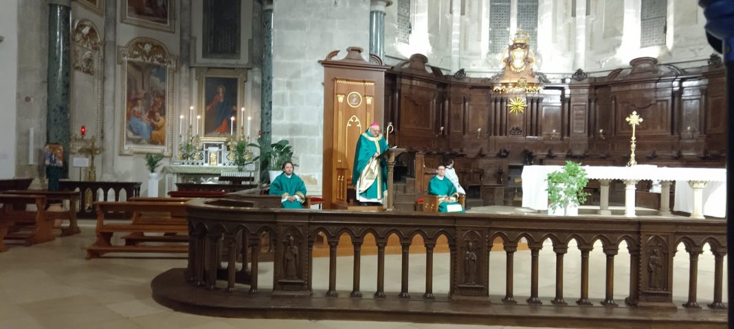 Rinnovo degli organi parrocchiali di partecipazione: S. Messa in Cattedrale Rinnovo degli organi parrocchiali di partecipazione: S. Messa in Cattedrale