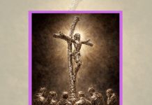 A MARGHERITA DI SAVOIA LE “24 ORE PER IL SIGNORE” A MARGHERITA DI SAVOIA LE “24 ORE PER IL SIGNORE”