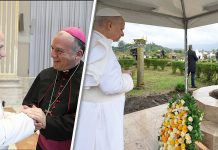 dispiacere, timore, orgoglio – Sito Ufficiale dell’ArciDiocesi di Lecce – il giornale della Arcidiocesi di Lecce dispiacere, timore, orgoglio – Sito Ufficiale dell'ArciDiocesi di Lecce