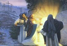 Diocesi di San Severo » parola alla Parola – DOMENICA 05/04/2026 Diocesi di San Severo » parola alla Parola – DOMENICA 05/04/2026