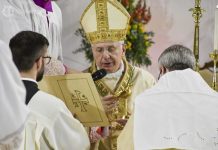 Omelia di Mons. Luigi Mansi per l’ordinazione Episcopale di S.E.R. Mons. Domenico Basile – Diocesi di Molfetta-Ruvo-Giovinazzo-Terlizzi Omelia di Mons. Luigi Mansi per l’ordinazione Episcopale di S.E.R. Mons. Domenico Basile – Diocesi di Molfetta-Ruvo-Giovinazzo-Terlizzi