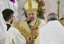 Omelia di Mons. Mansi per l’Ordinazione Episcopale di don Mimmo Basile Omelia di Mons. Mansi per l'Ordinazione Episcopale di don Mimmo Basile